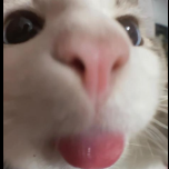 Ákos