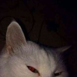 Peter