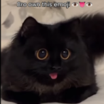 smokio